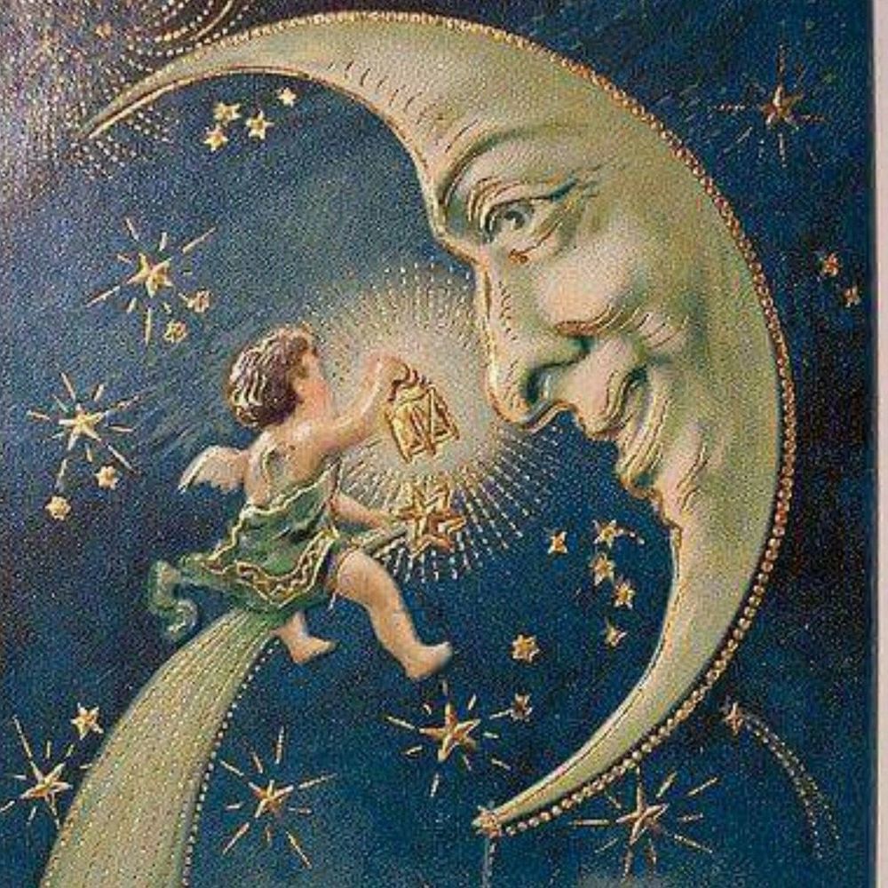 Meet your Posher, Alice